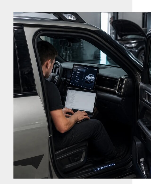 Русификация BYD Leopard 3 в Артёме по цене от 20630 р. | ФастМобиль-Арт